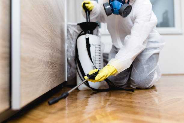 Best Exterminator Services  in Chico, WA