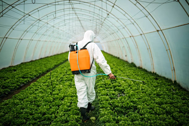 Best Pest Control for Restaurants  in Chico, WA