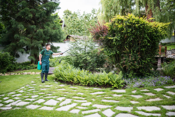 Best Pest Inspection Near Me  in Chico, WA