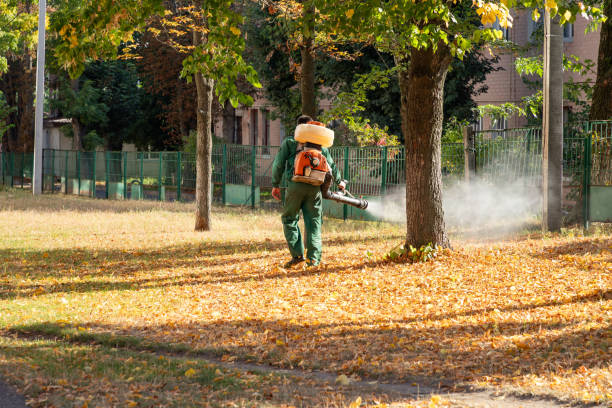 Best Flea Control Services  in Chico, WA