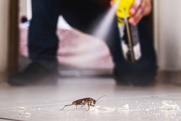 Professional Pest Control in Chico, WA