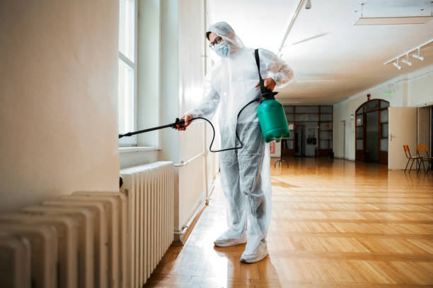 Best Flea Control Services  in Chico, WA