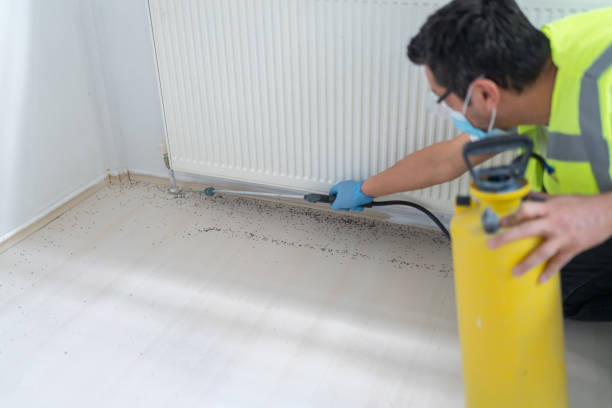 Best Mosquito Control Services  in Chico, WA