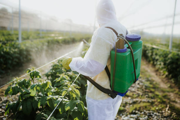 Pest Control for Restaurants in Chico, WA